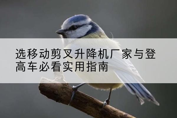 昆玉电动升降机厂家-选移动剪叉升降机厂家与登高车必看实用指南