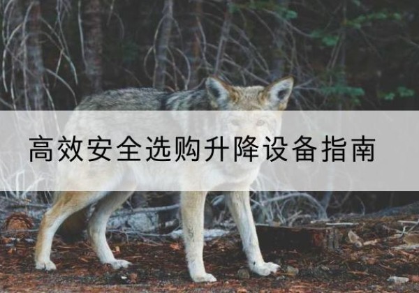 昆玉升降货梯厂家推荐-*安全选购升降设备指南